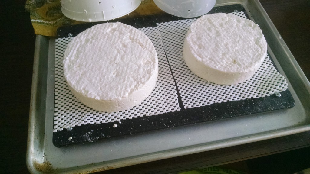 Fresh Camembert